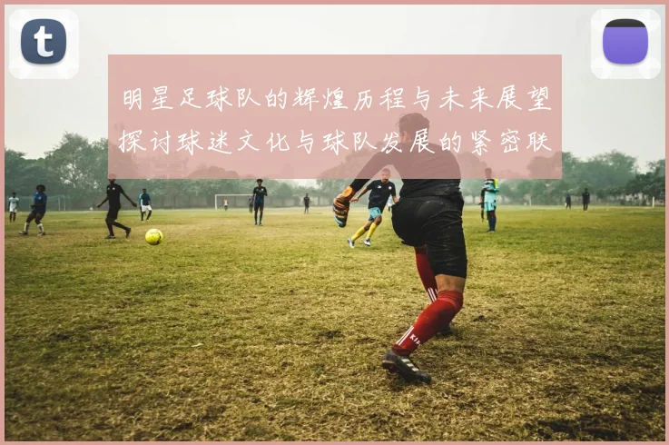 明星足球队的辉煌历程与未来展望探讨球迷文化与球队发展的紧密联系