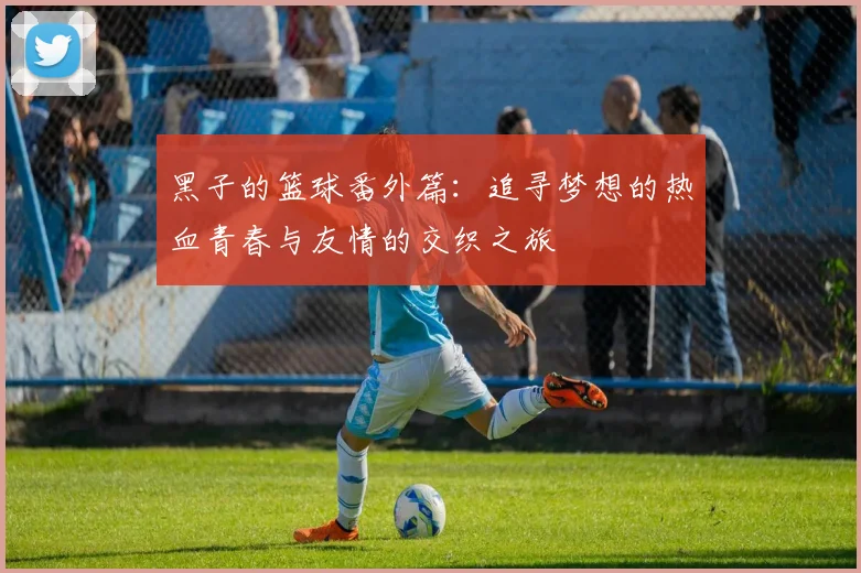 黑子的篮球番外篇：追寻梦想的热血青春与友情的交织之旅